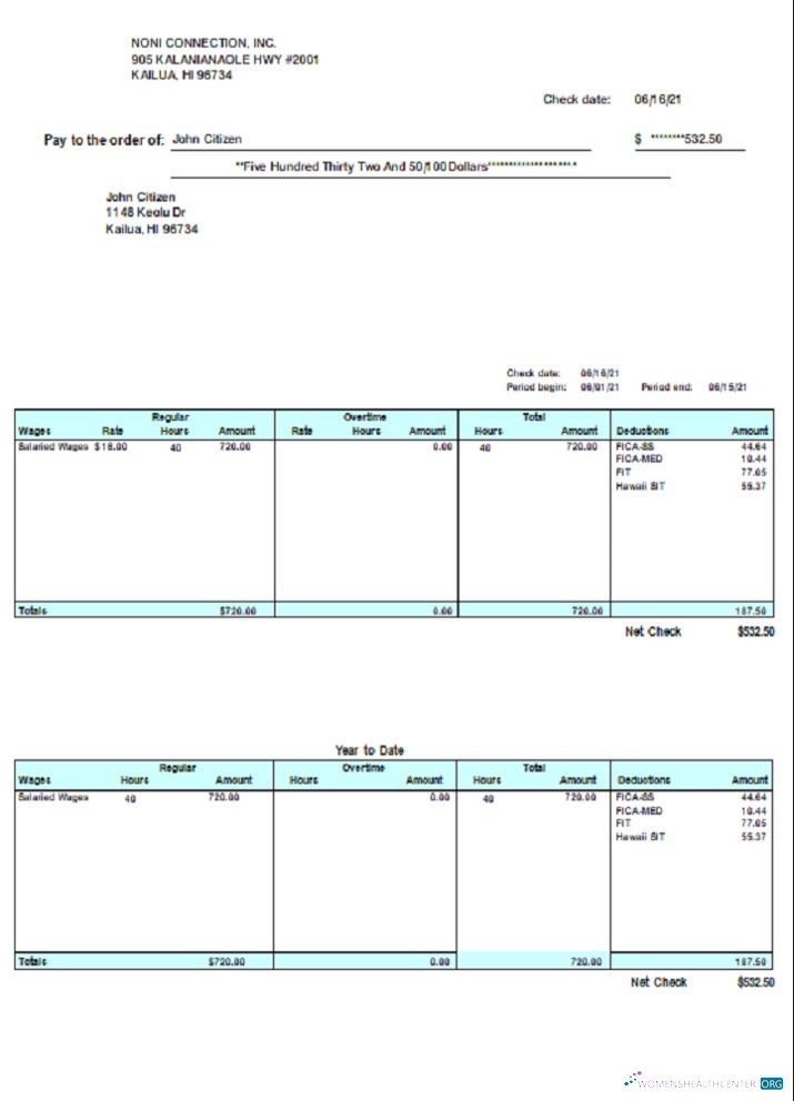 Download USA HI pay stub Photoshop template
